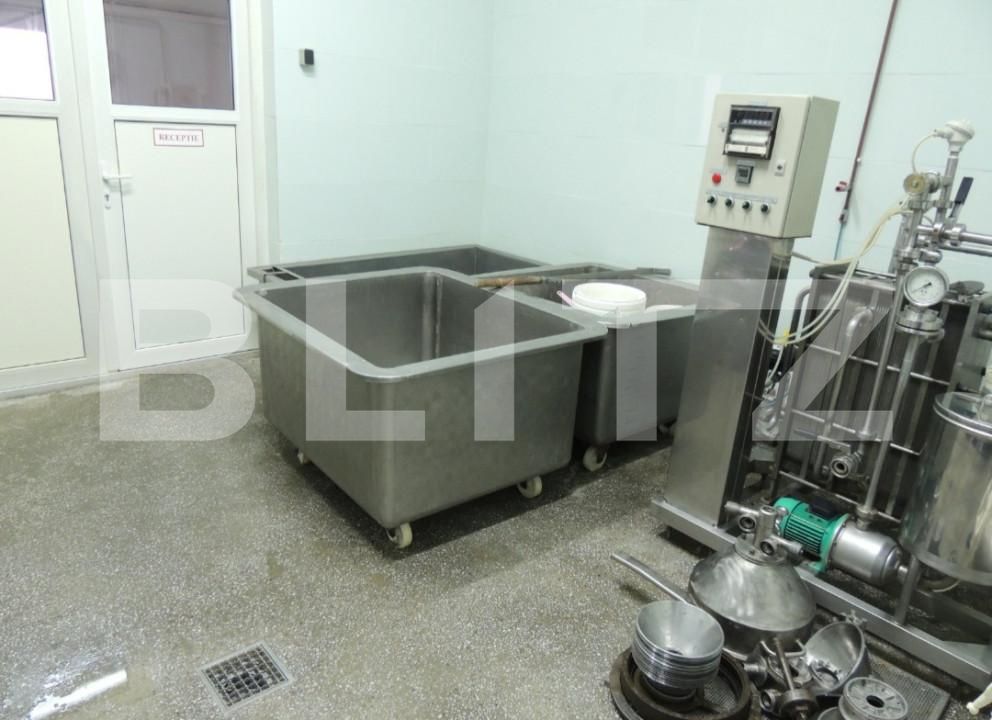 Spațiu industrial de vânzare Sud - 156921SVI | BLITZ Bistriţa | Poza11
