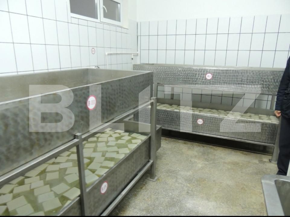 Spațiu industrial de vânzare Sud - 156921SVI | BLITZ Bistriţa | Poza15