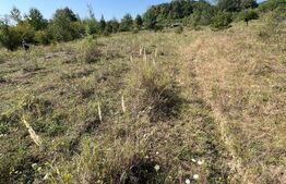 Teren extravilan, 15 arii, pretabil pentru investitii, construibil 