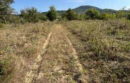 Teren extravilan, 15 arii, pretabil pentru investitii, construibil 