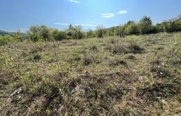 Teren extravilan, 15 arii, pretabil pentru investitii, construibil 