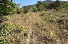 Teren extravilan, 15 arii, pretabil pentru investitii, construibil 