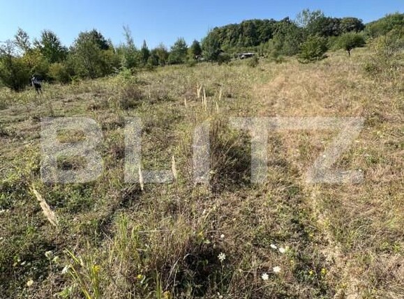 Teren de vânzare Nord-Est - 157042TV | BLITZ Bistriţa | Poza4