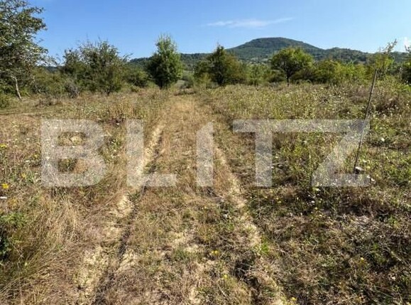Teren de vânzare Nord-Est - 157042TV | BLITZ Bistriţa | Poza5
