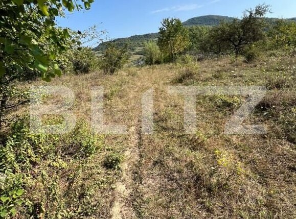 Teren de vânzare Nord-Est - 157042TV | BLITZ Bistriţa | Poza3