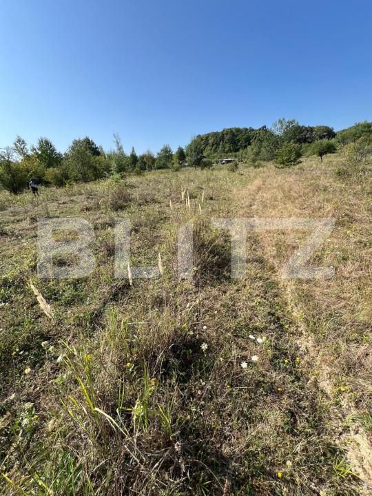 Teren de vânzare Nord-Est - 157042TV | BLITZ Bistriţa | Poza4