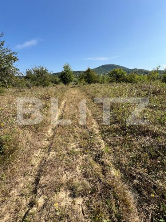 Teren de vânzare Nord-Est - 157042TV | BLITZ Bistriţa | Poza5