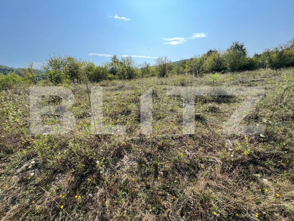 Teren de vânzare Nord-Est - 157042TV | BLITZ Bistriţa | Poza6