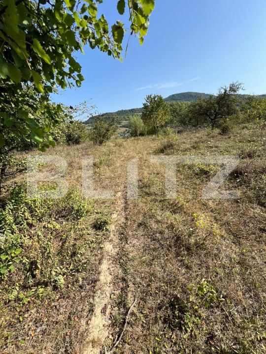 Teren de vânzare Nord-Est - 157042TV | BLITZ Bistriţa | Poza3