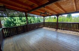 Casa/Vila 4 camere ,200mp utili, 1500mp teren, zona Valea Rusului