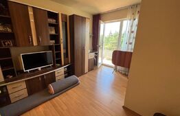 Apartament cu o camera , Zona Sud ,42.000 de Euro