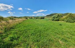 Teren intravilan, 31 de ari in Livezile