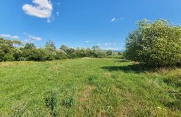 Teren extravilan, 31 de ari in Livezile