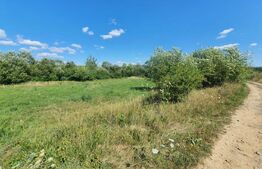 Teren extravilan, 31 de ari in Livezile