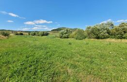 Teren intravilan, 31 de ari in Livezile