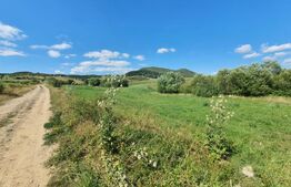 Teren extravilan, 31 de ari in Livezile