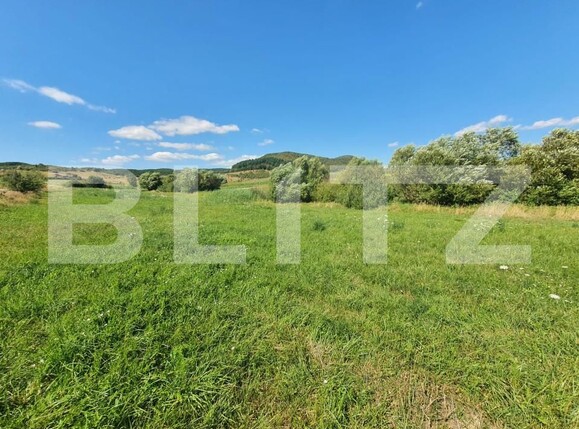 Teren de vânzare Sud - 157241TV | BLITZ Bistriţa | Poza1