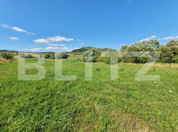 Teren de vânzare Sud - 157241TV | BLITZ Bistriţa | Poza1
