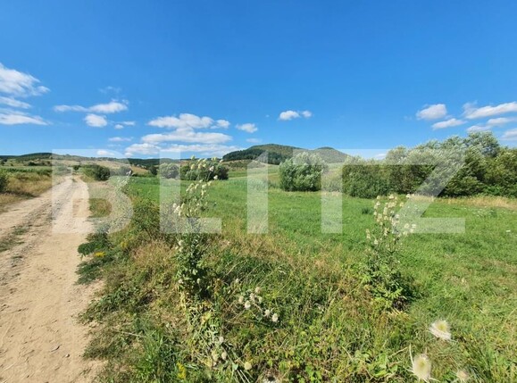 Teren de vânzare Sud - 157241TV | BLITZ Bistriţa | Poza4