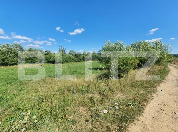 Teren de vânzare Sud - 157241TV | BLITZ Bistriţa | Poza5