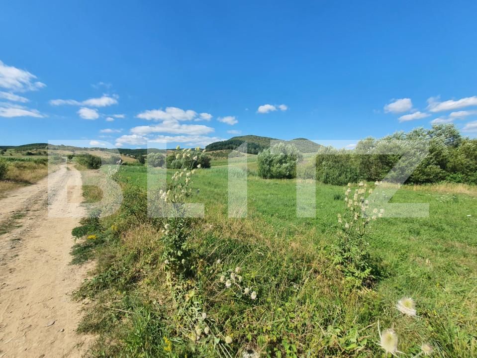 Teren de vânzare Sud - 157241TV | BLITZ Bistriţa | Poza4