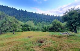 Teren intravilan, 31 ari, Ilva Mica, zona montana