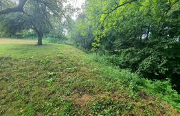 Teren intravilan, 31 ari, Ilva Mica, zona montana