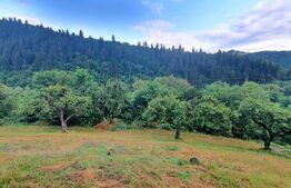 Teren intravilan, 31 ari, Ilva Mica, zona montana
