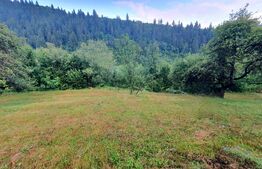 Teren intravilan, 31 ari, Ilva Mica, zona montana