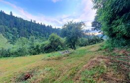 Teren intravilan, 31 ari, Ilva Mica, zona montana