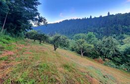 Teren intravilan, 31 ari, Ilva Mica, zona montana
