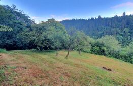 Teren intravilan, 31 ari, Ilva Mica, zona montana