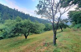 Teren intravilan, 31 ari, Ilva Mica, zona montana