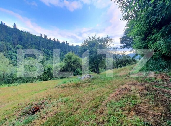 Teren de vânzare Sud - 157242TV | BLITZ Bistriţa | Poza4