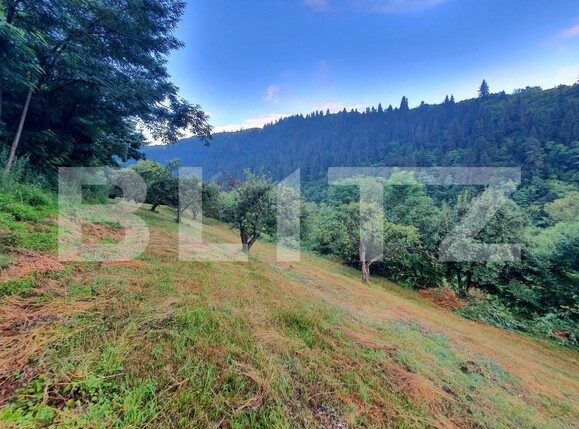 Teren de vânzare Sud - 157242TV | BLITZ Bistriţa | Poza1