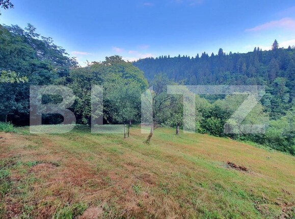 Teren de vânzare Sud - 157242TV | BLITZ Bistriţa | Poza3