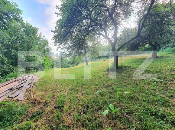 Teren de vânzare Sud - 157242TV | BLITZ Bistriţa | Poza5