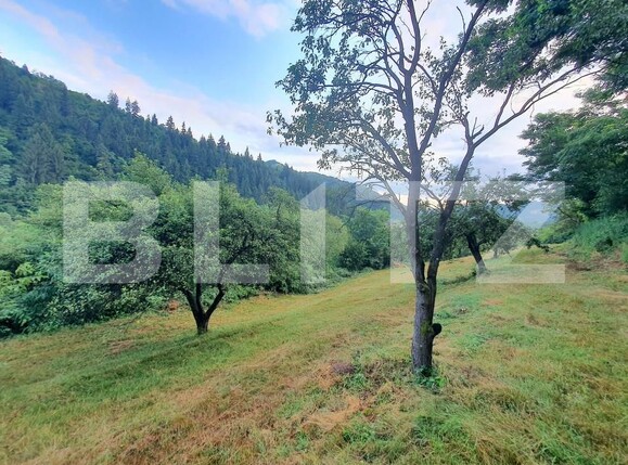 Teren de vânzare Sud - 157242TV | BLITZ Bistriţa | Poza8