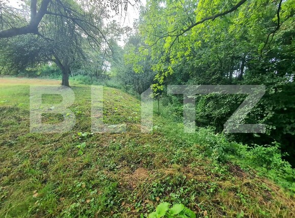 Teren de vânzare Sud - 157242TV | BLITZ Bistriţa | Poza2
