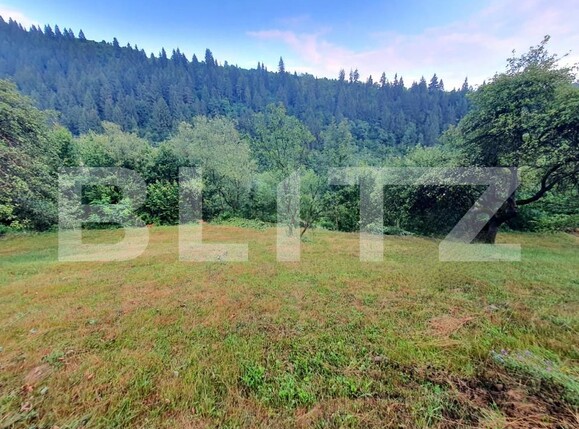 Teren de vânzare Sud - 157242TV | BLITZ Bistriţa | Poza7