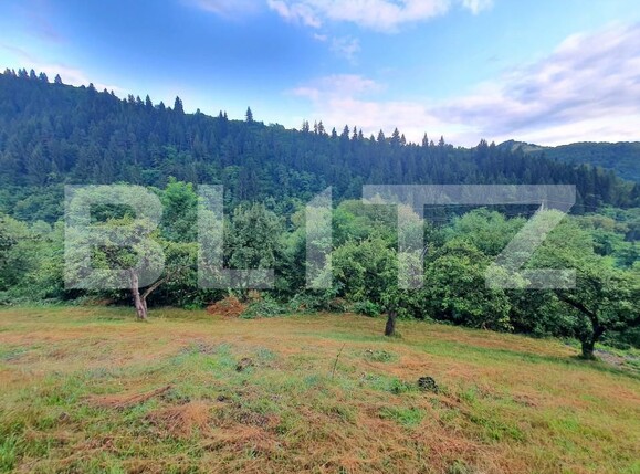 Teren de vânzare Sud - 157242TV | BLITZ Bistriţa | Poza9