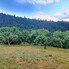 Teren de vânzare Sud - 157242TV - Poza 1 din 9 | BLITZ Bistriţa | Poza8
