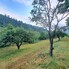 Teren de vânzare Sud - 157242TV - Poza 1 din 9 | BLITZ Bistriţa | Poza7