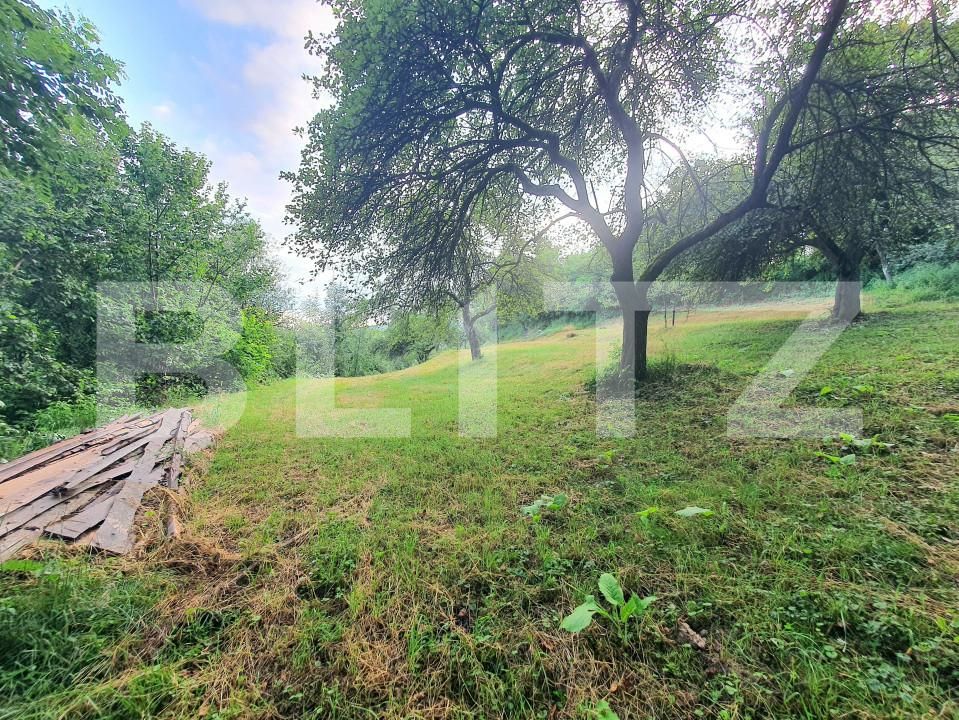 Teren de vânzare Sud - 157242TV | BLITZ Bistriţa | Poza5