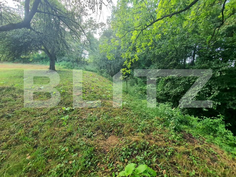 Teren de vânzare Sud - 157242TV | BLITZ Bistriţa | Poza2