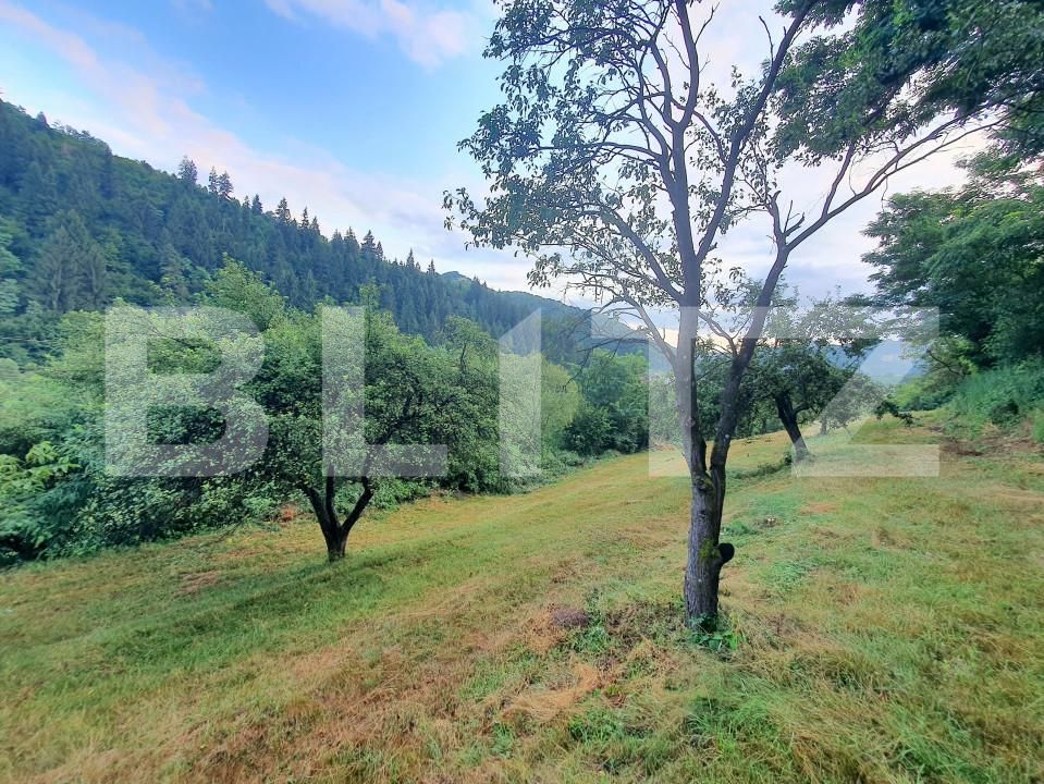 Teren de vânzare Sud - 157242TV | BLITZ Bistriţa | Poza8