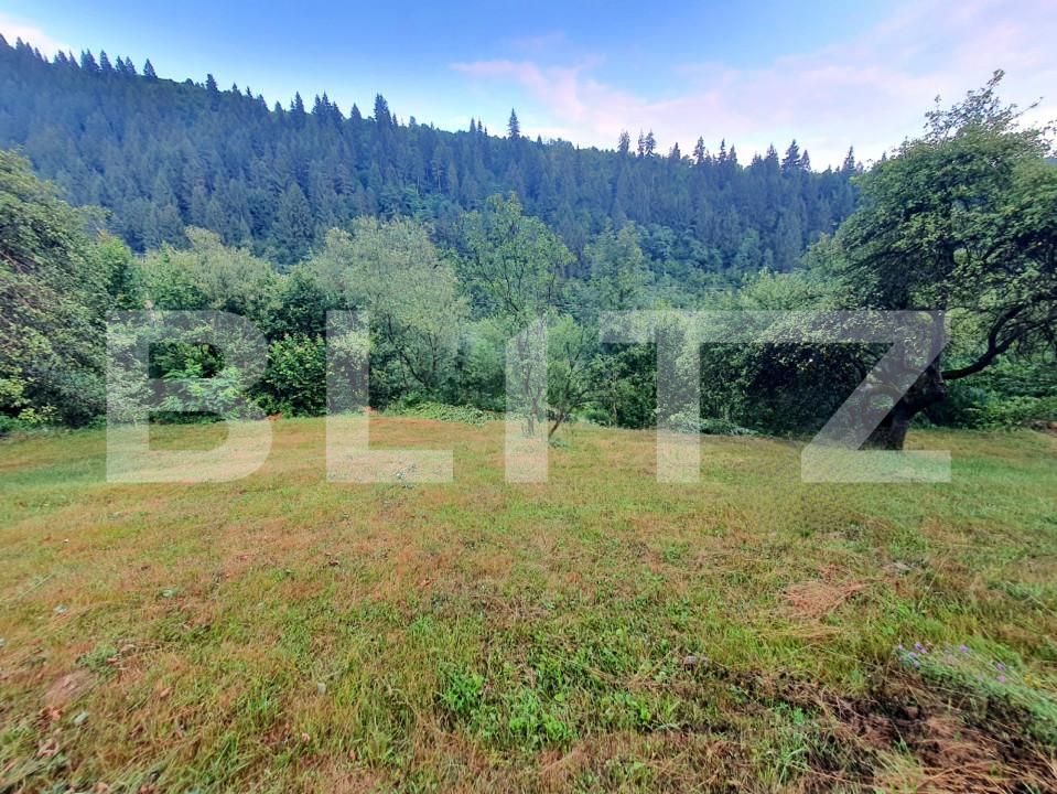 Teren de vânzare Sud - 157242TV | BLITZ Bistriţa | Poza7