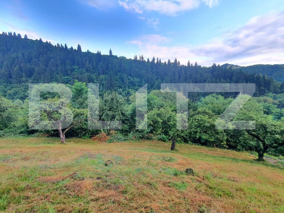 Teren de vânzare Sud - 157242TV | BLITZ Bistriţa | Poza9