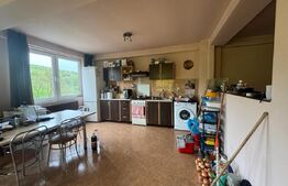 Casa Individuala 3 camere, zona Jelna