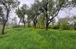 Casa si teren 1700mp Jelna